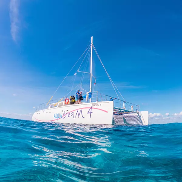 cozumel catamaran snorkeling